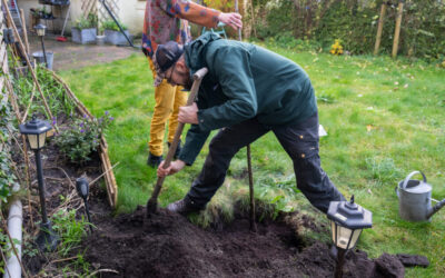 Vraag een gratis boom aan!