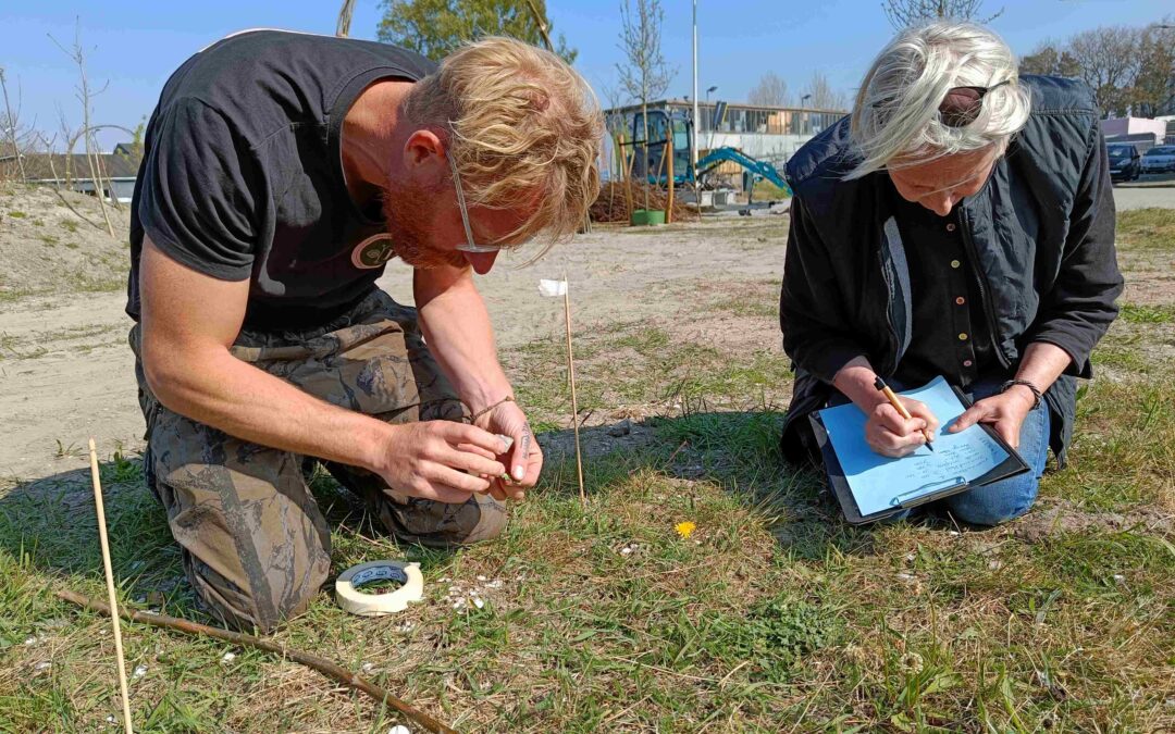 Proefpark komt tot leven