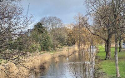 Wandeling door de stadsnatuur