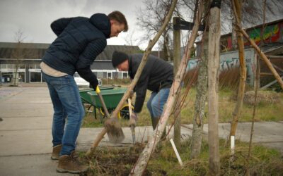 Jonge Stadsvergroeners aan de slag voor meer stadsnatuur