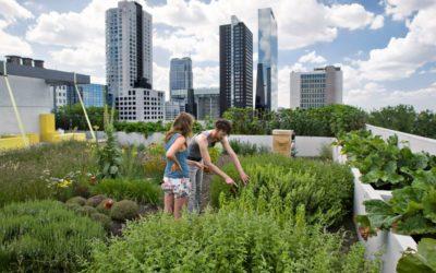 Samen werken aan een groene, klimaatadaptieve Binckhorst